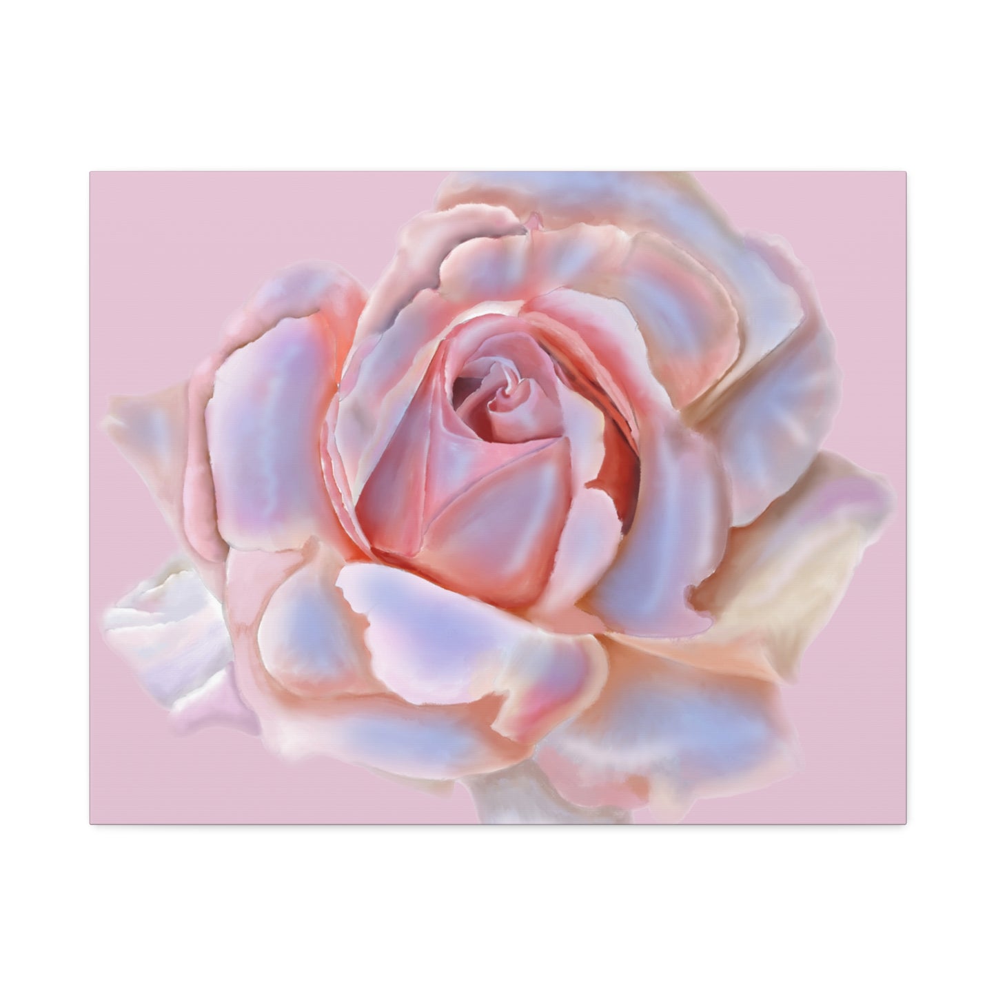 Champagne Rose Stretched Canvas