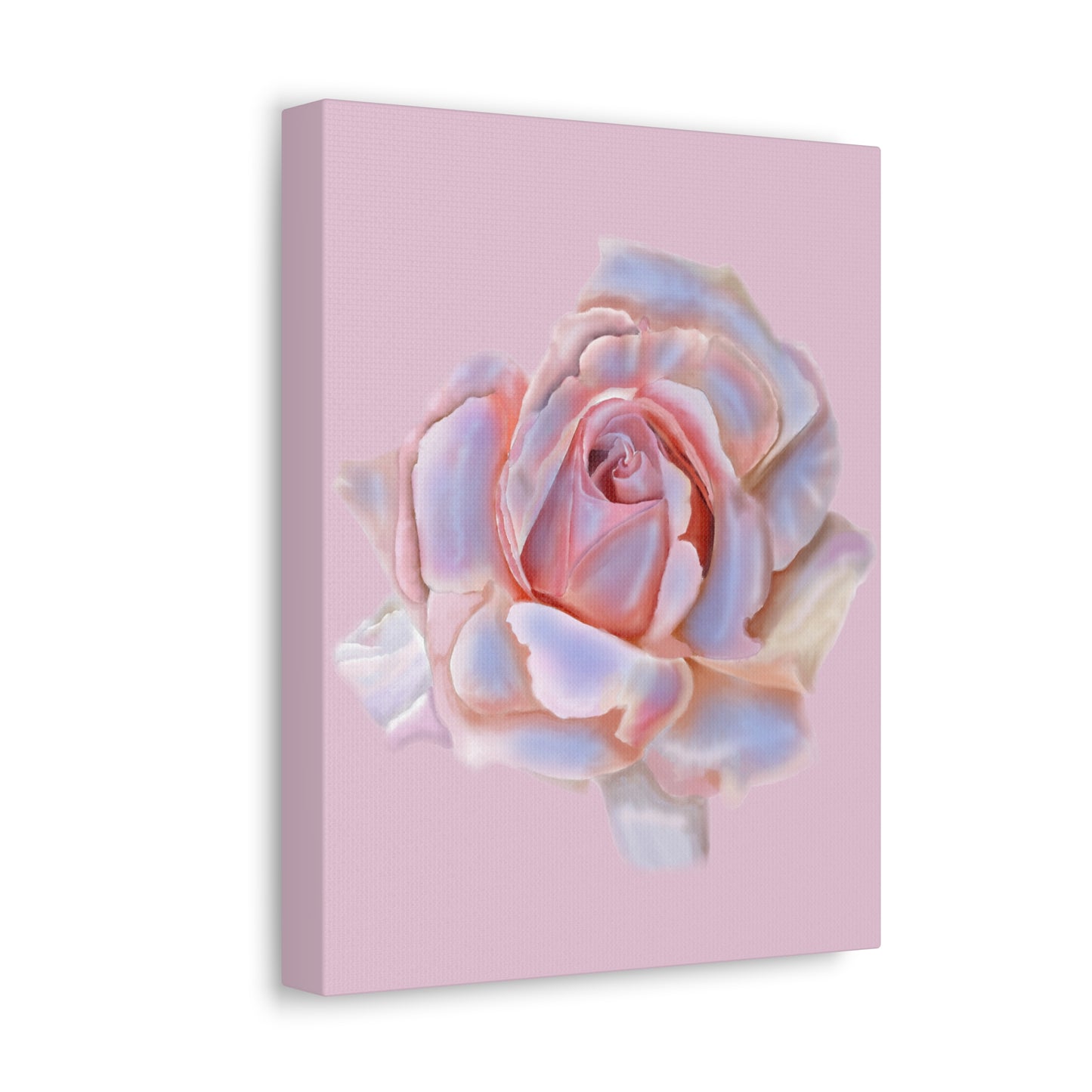 Champagne Rose Stretched Canvas