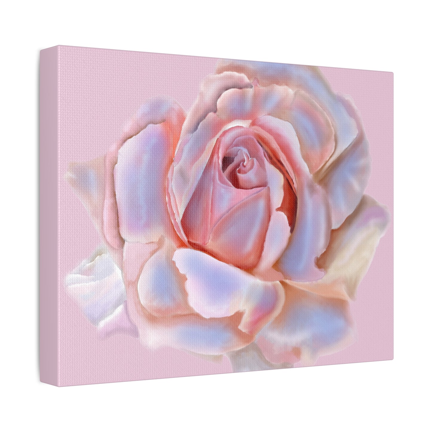 Champagne Rose Stretched Canvas