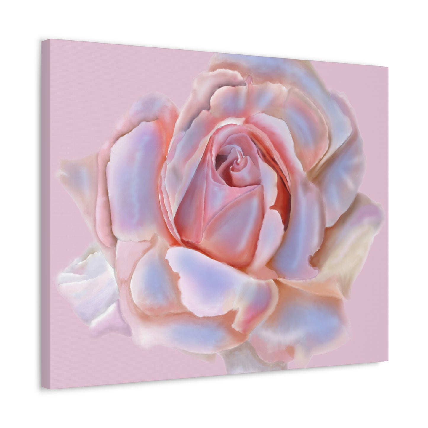 Champagne Rose Stretched Canvas