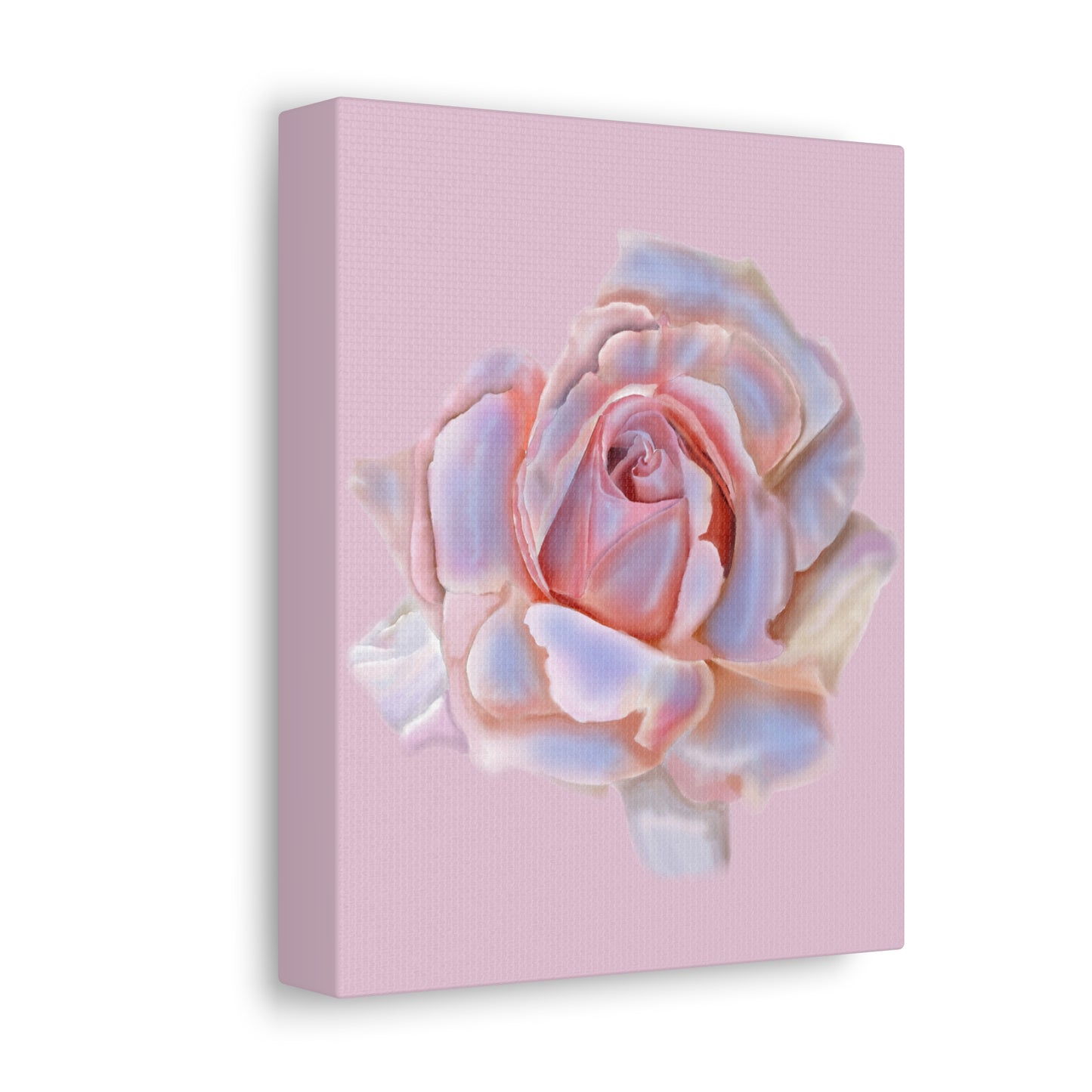 Champagne Rose Stretched Canvas