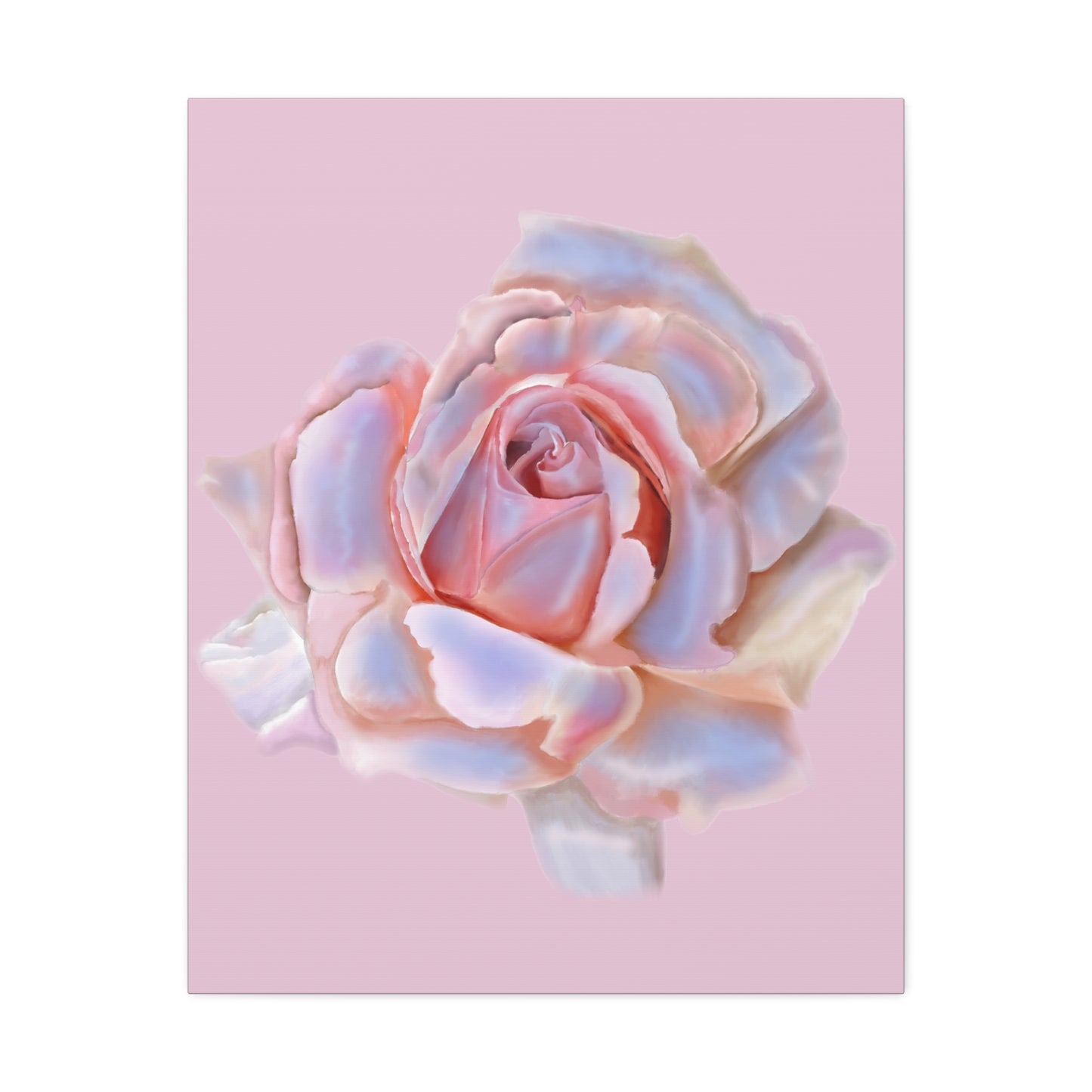 Champagne Rose Stretched Canvas