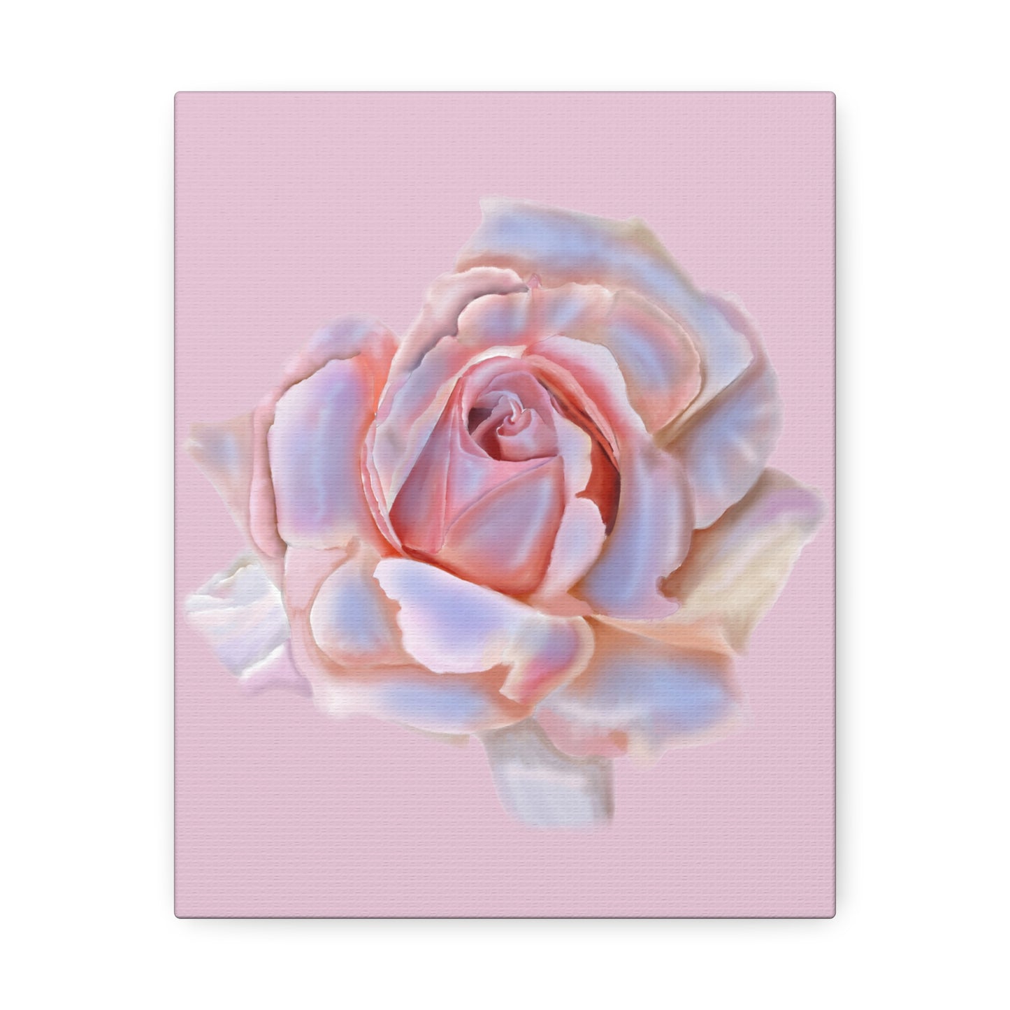 Champagne Rose Stretched Canvas