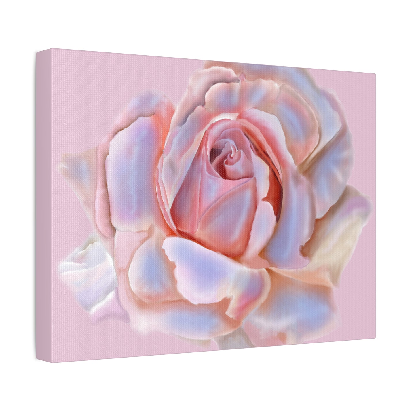 Champagne Rose Stretched Canvas