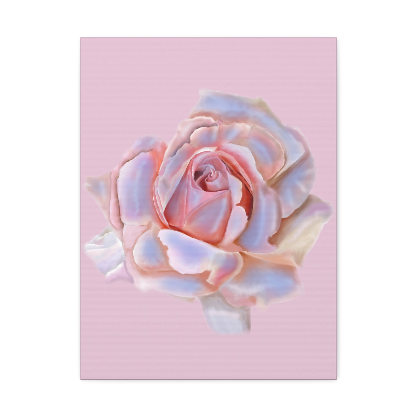 Champagne Rose Stretched Canvas