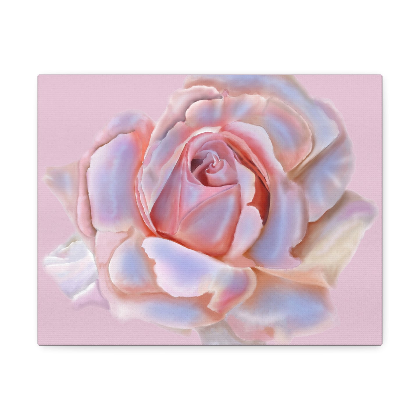 Champagne Rose Stretched Canvas