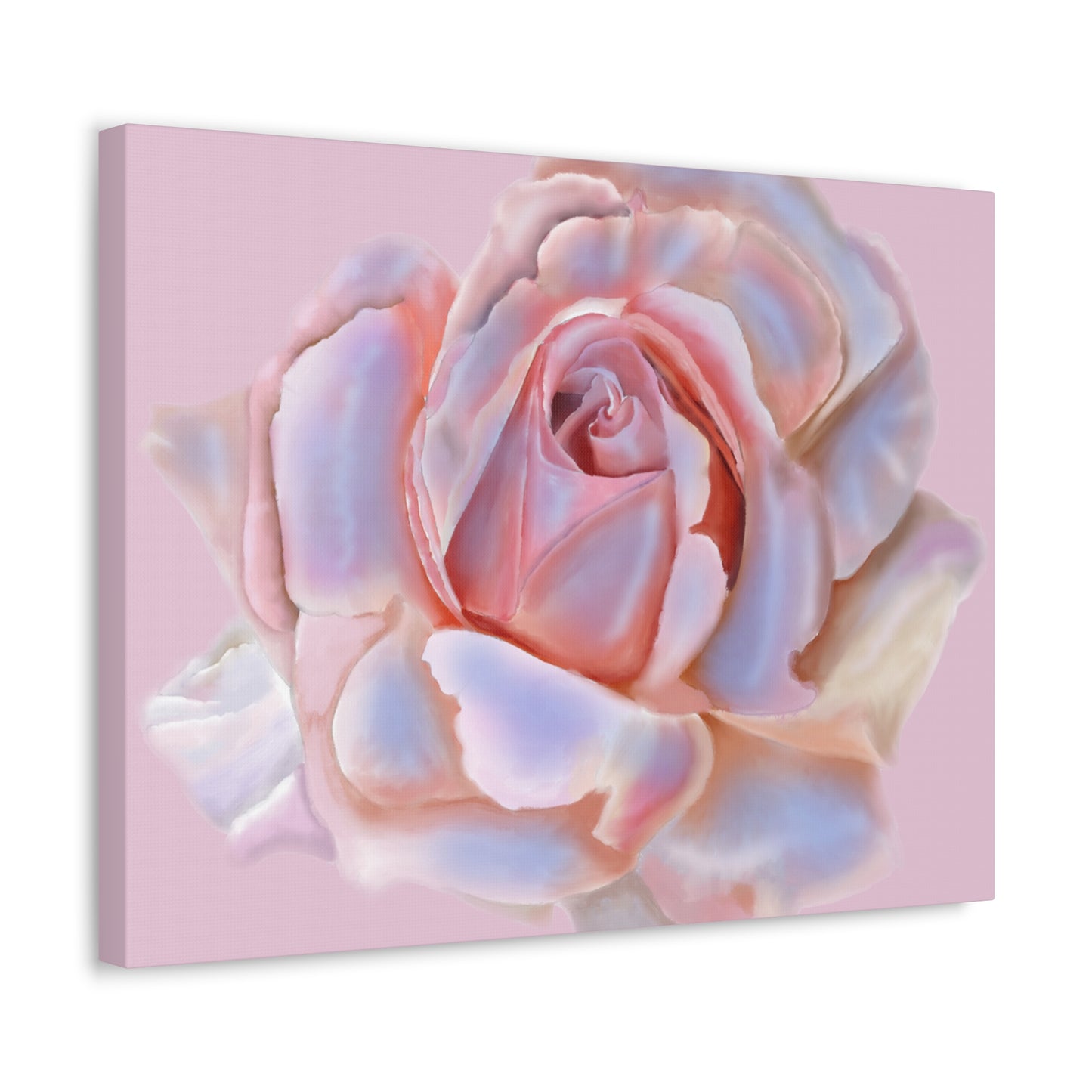 Champagne Rose Stretched Canvas