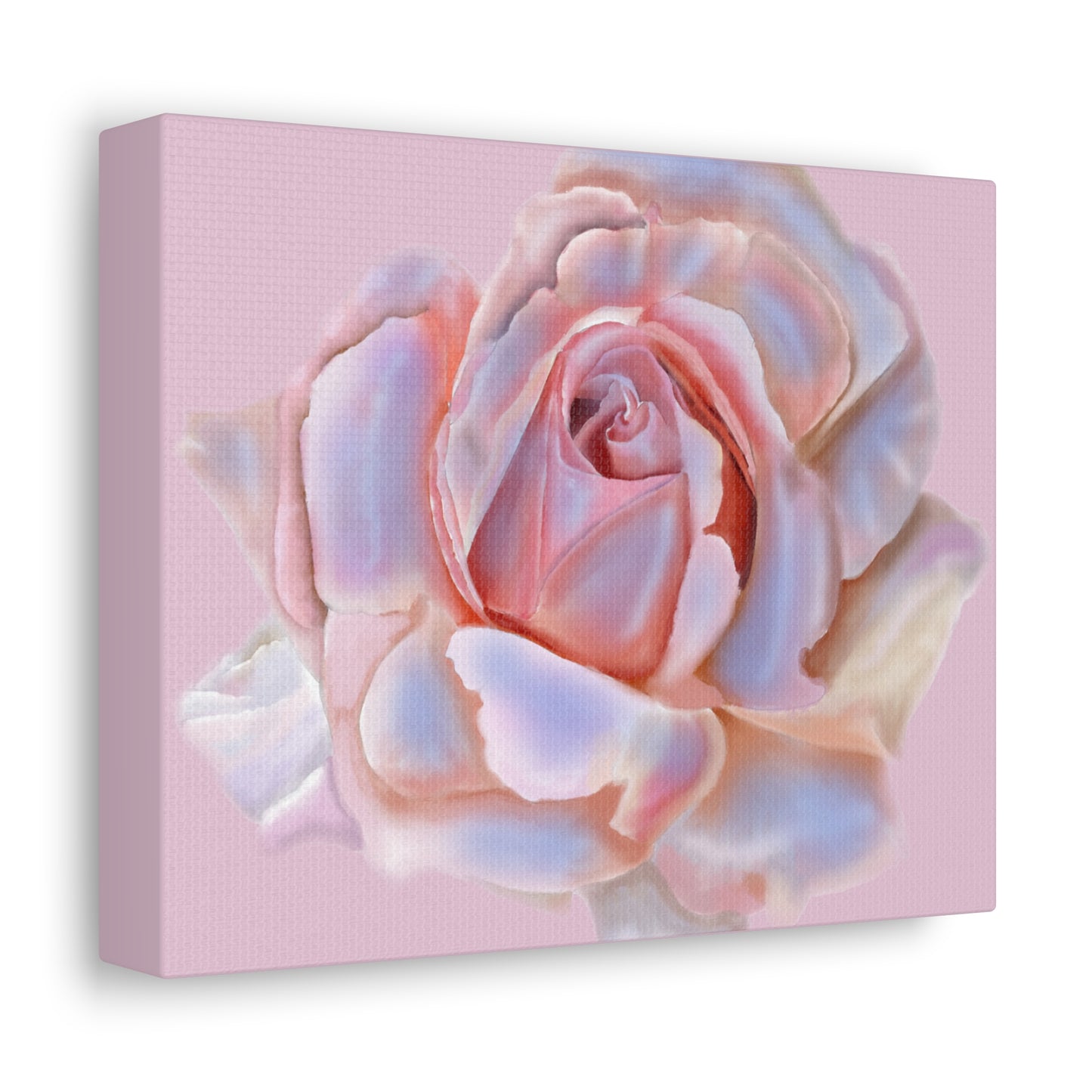 Champagne Rose Stretched Canvas