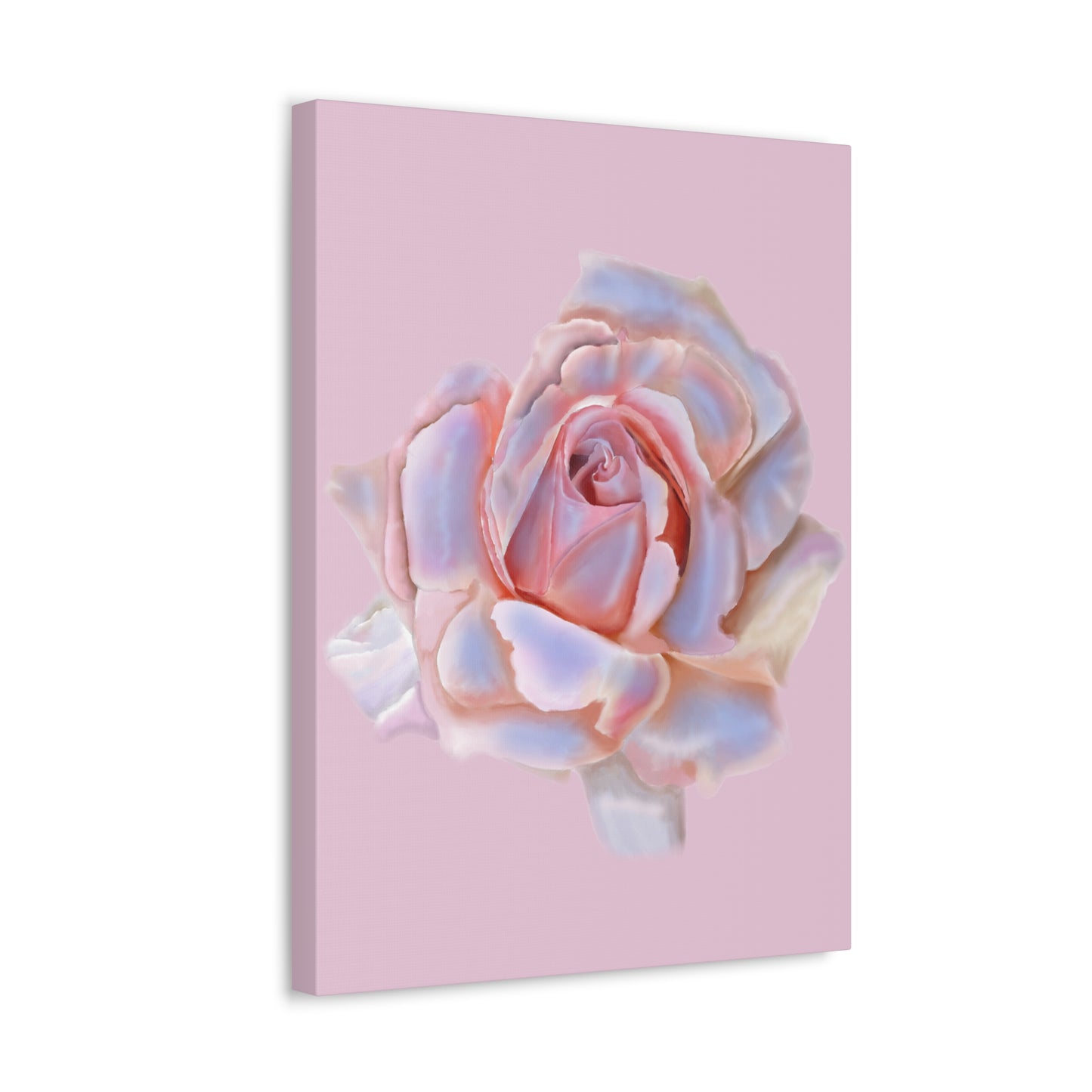 Champagne Rose Stretched Canvas