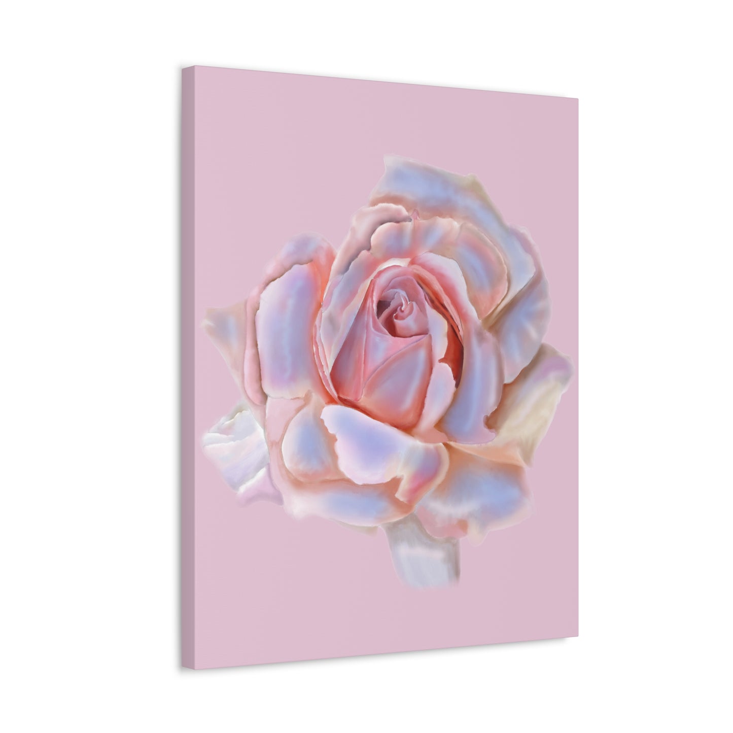 Champagne Rose Stretched Canvas