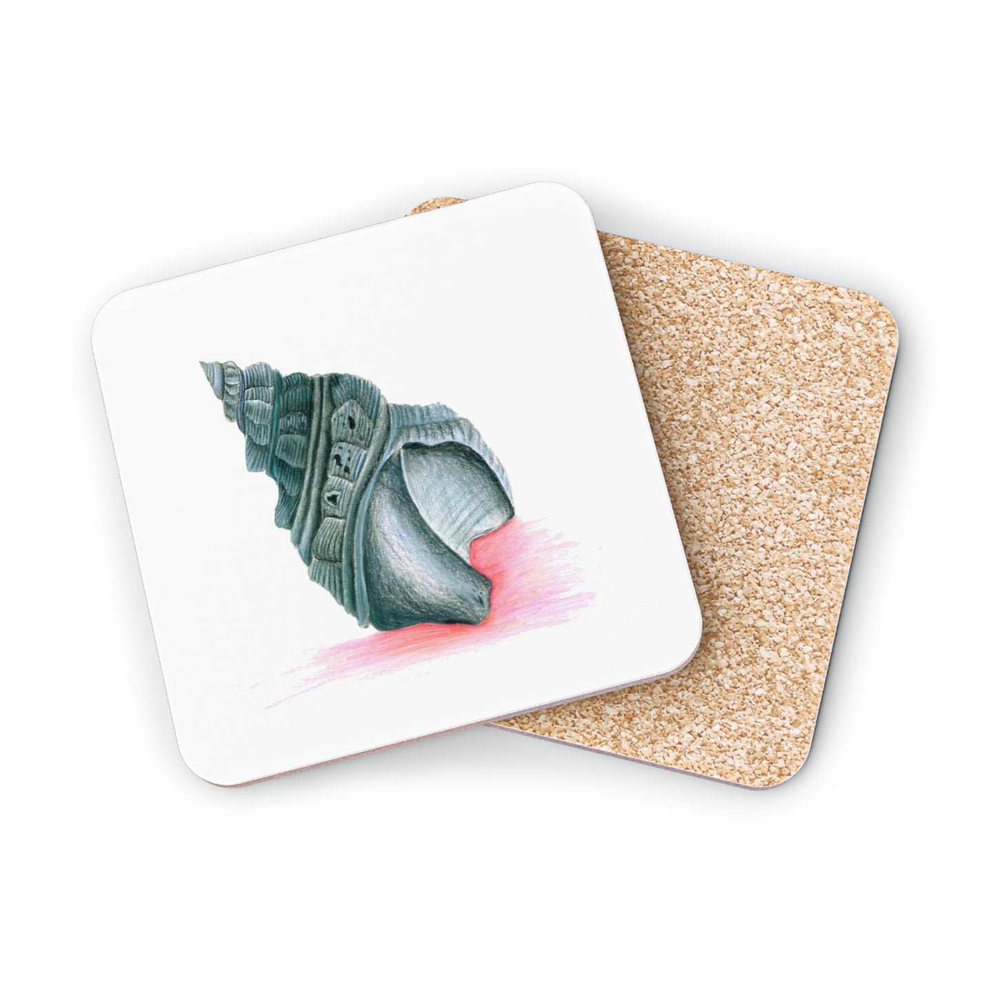 Georgia Beach Shell Coasters