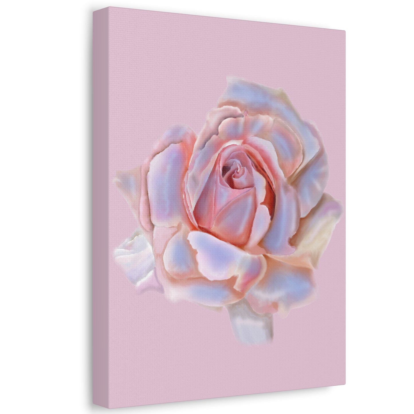 Champagne Rose Stretched Canvas