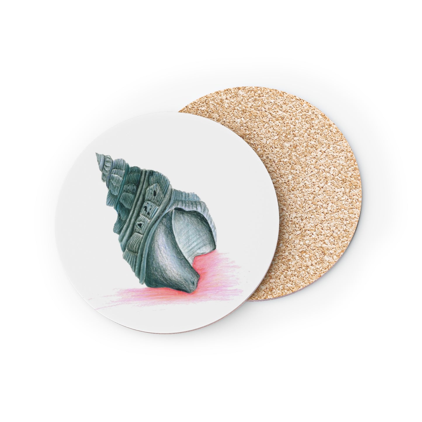 Georgia Beach Shell Coasters