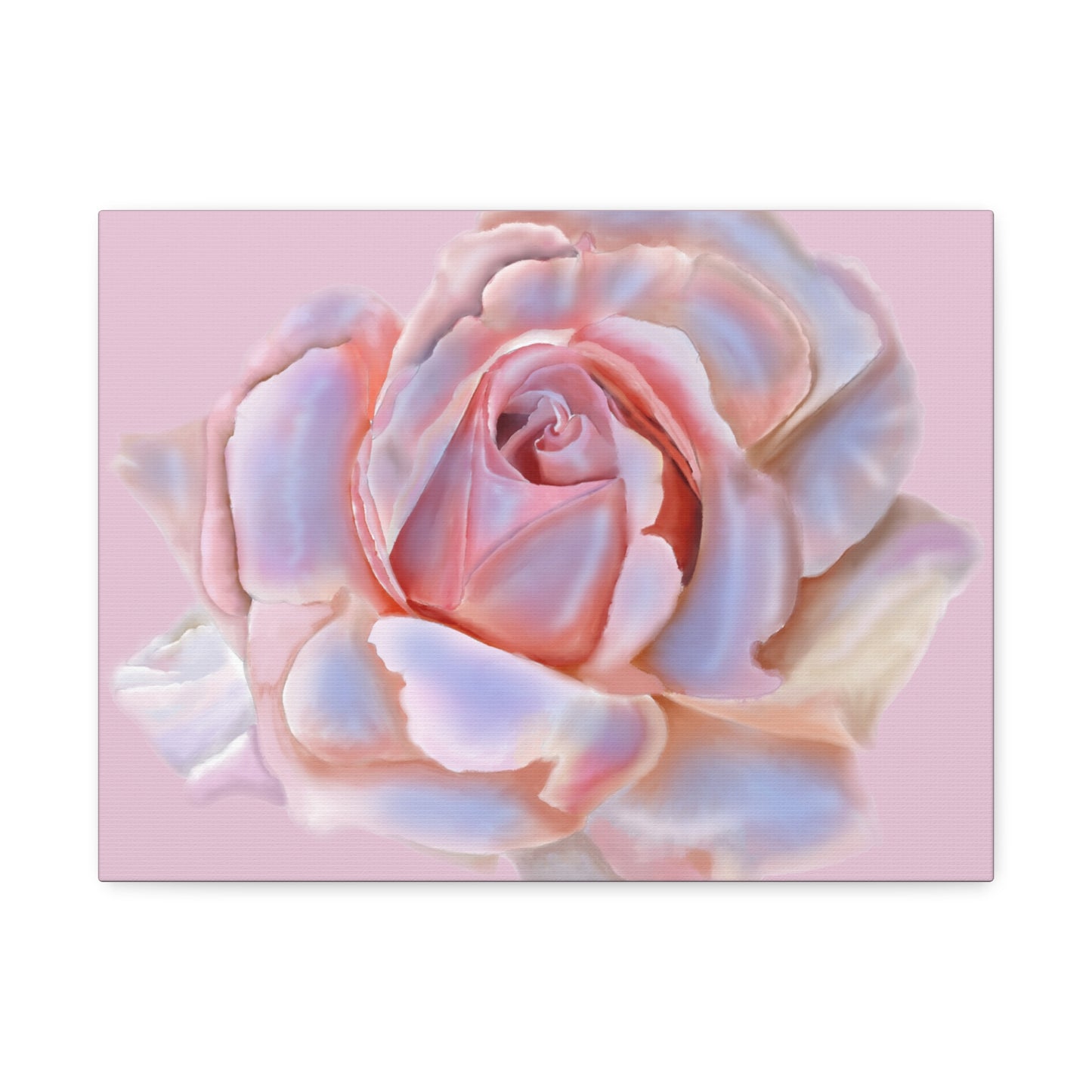 Champagne Rose Stretched Canvas