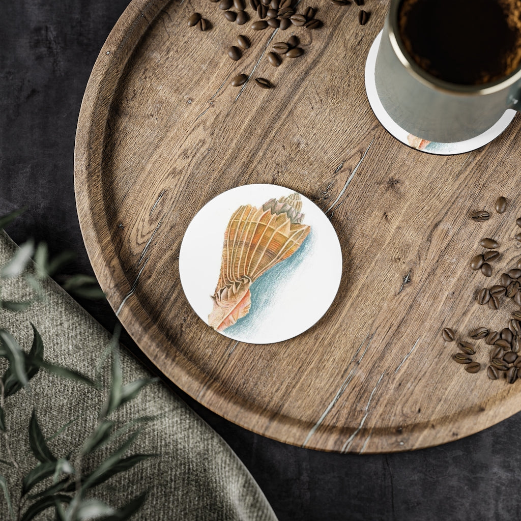 Georgia Beach Knobbed Whelk Shell Coasters