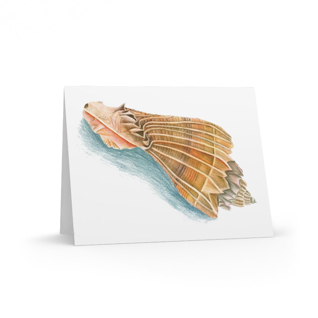 Georgia Beach Knobbed Whelk Seashell Greeting cards (8, 16, and 24 pcs)