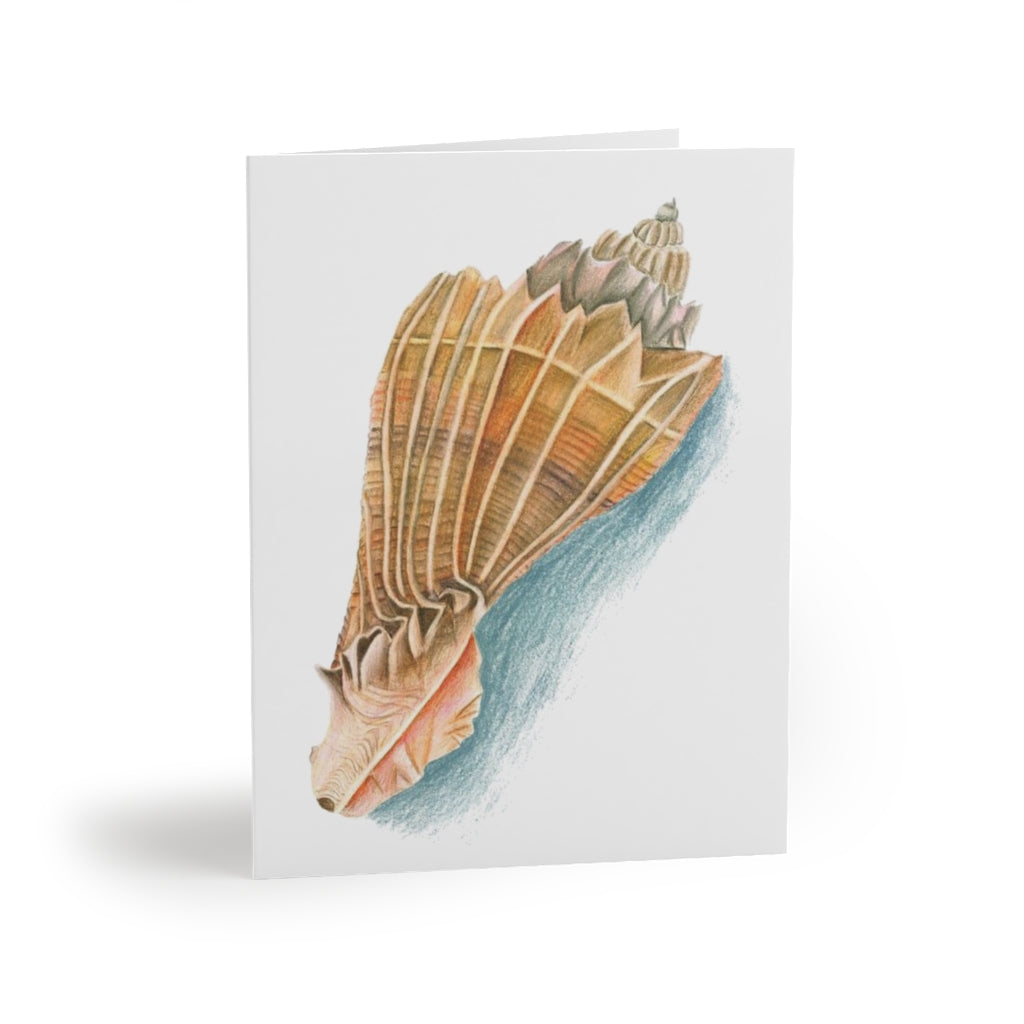 Georgia Beach Knobbed Whelk Seashell Greeting cards (8, 16, and 24 pcs)