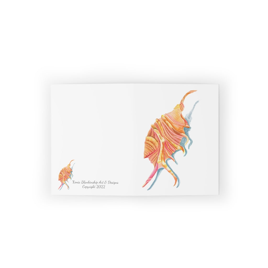 Georgia Beach Spiny Conch Seashell Greeting cards (8, 16, and 24 pcs)