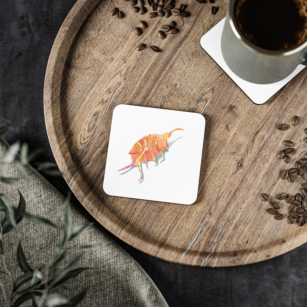 Georgia Beach Spiny Conch Shell Coasters