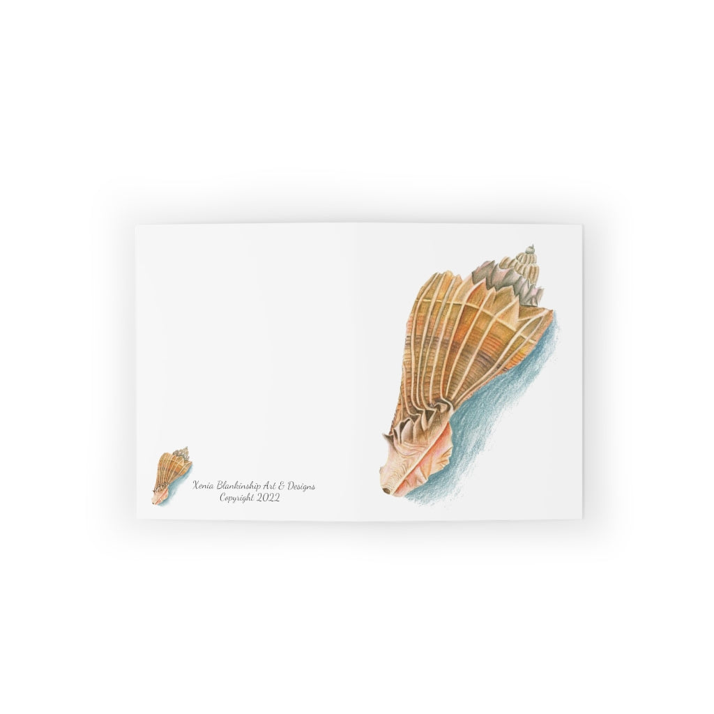 Georgia Beach Knobbed Whelk Seashell Greeting cards (8, 16, and 24 pcs)