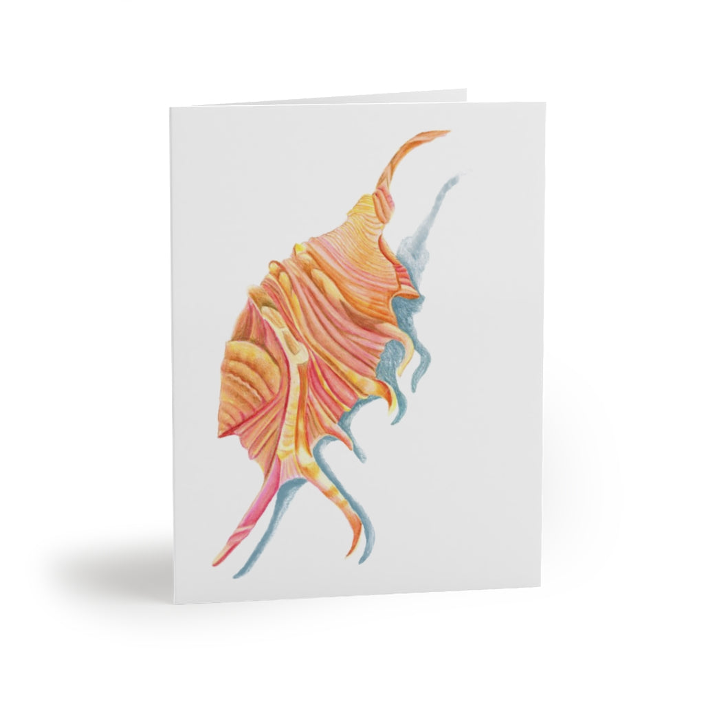 Georgia Beach Spiny Conch Seashell Greeting cards (8, 16, and 24 pcs)