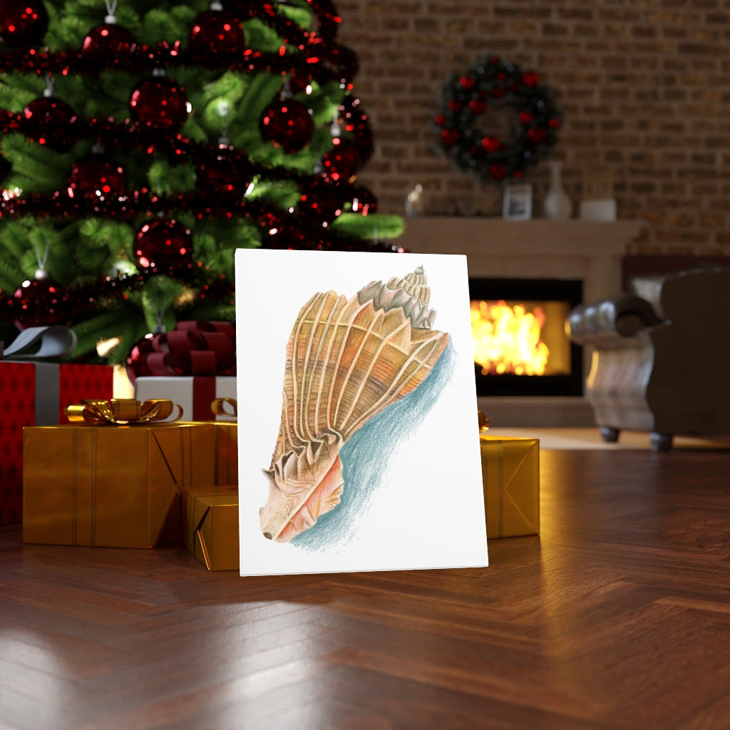 Georgia Beach Knobbed Whelk Seashell Canvas Gallery Wrap