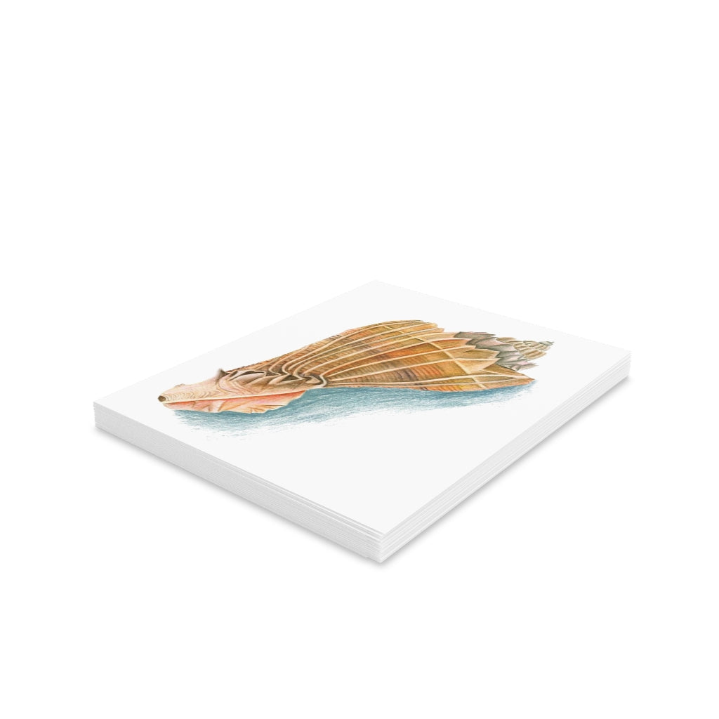 Georgia Beach Knobbed Whelk Seashell Greeting cards (8, 16, and 24 pcs)