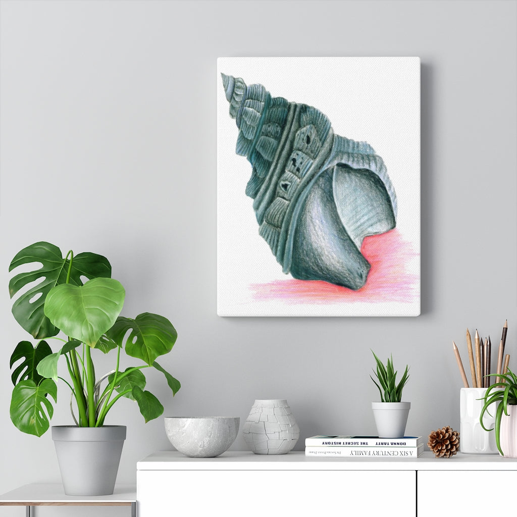 Georgia Beach Seashell Canvas Gallery Wrap