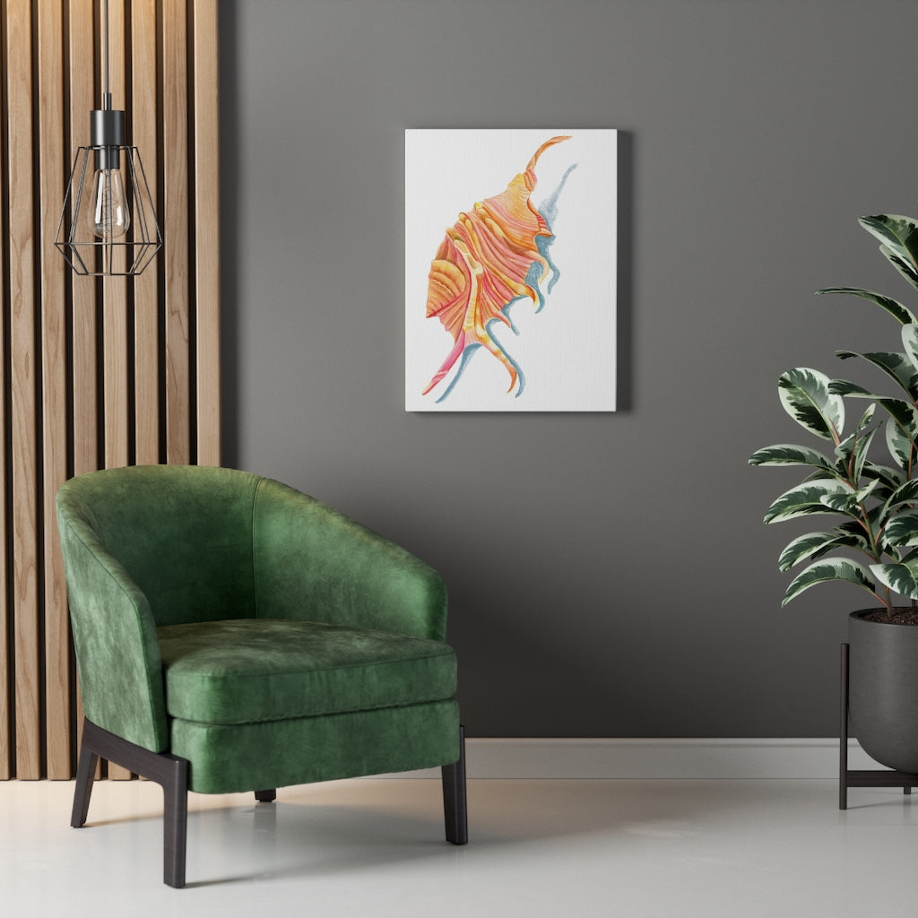 Georgia Beach Spiny Conch Seashell Canvas Gallery Wrap