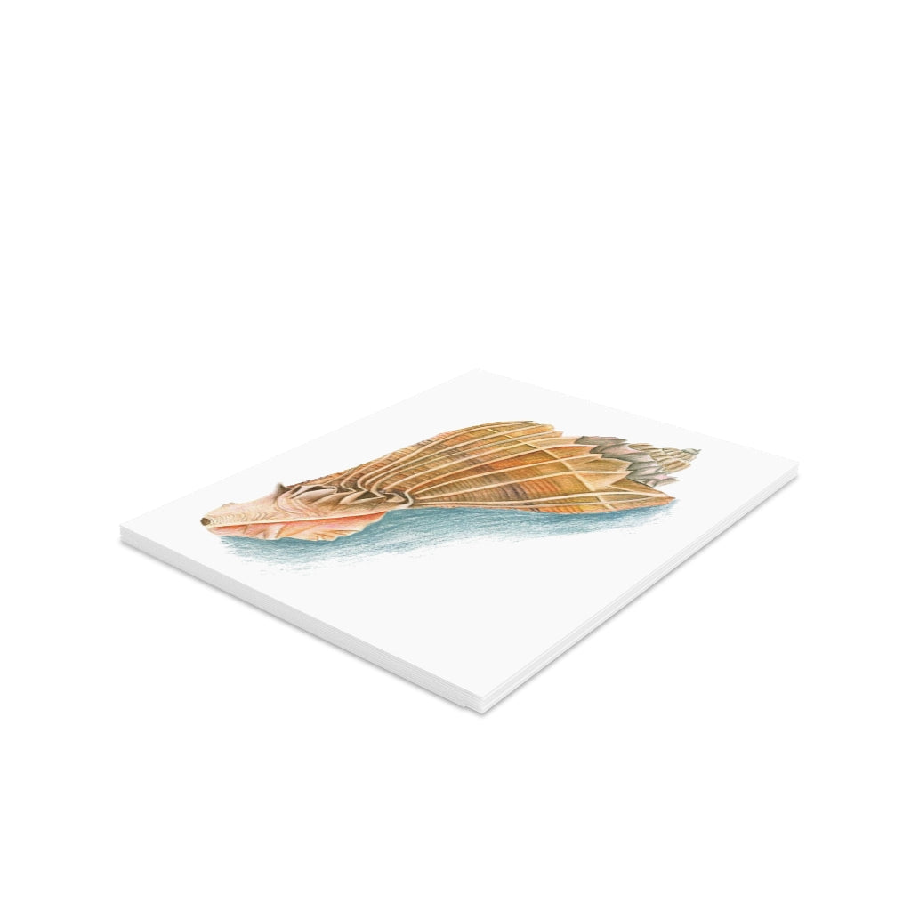 Georgia Beach Knobbed Whelk Seashell Greeting cards (8, 16, and 24 pcs)