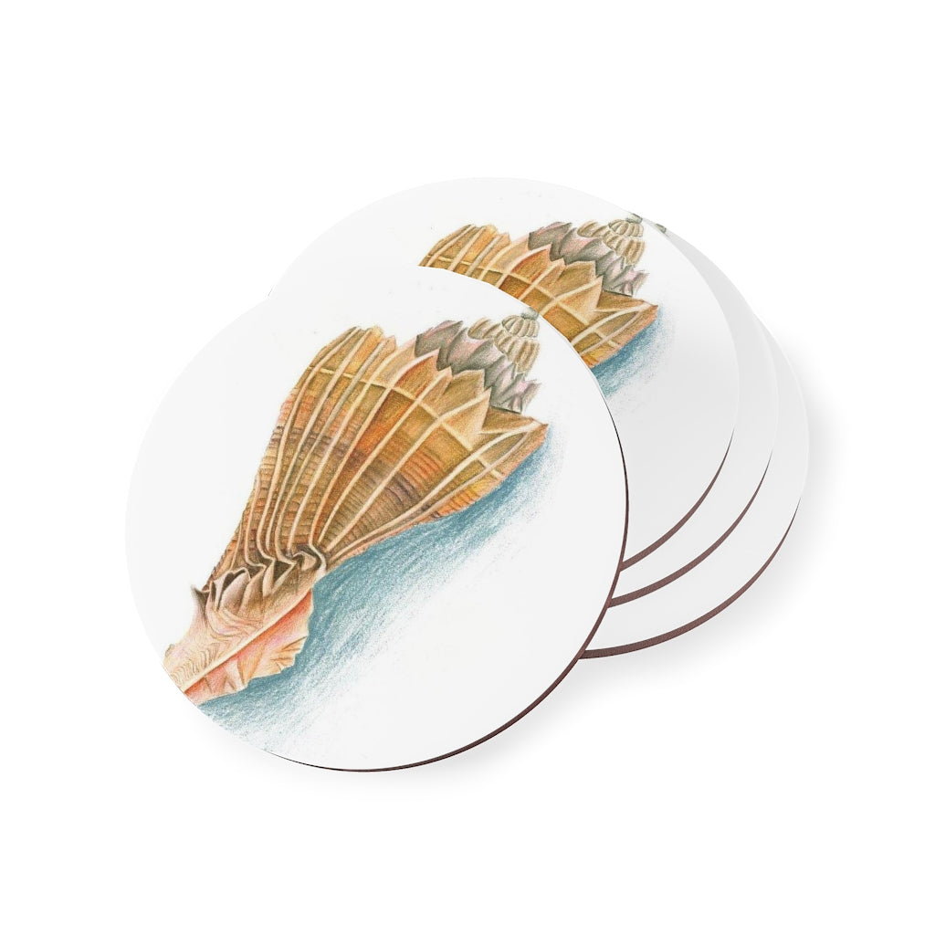 Georgia Beach Knobbed Whelk Shell Coasters