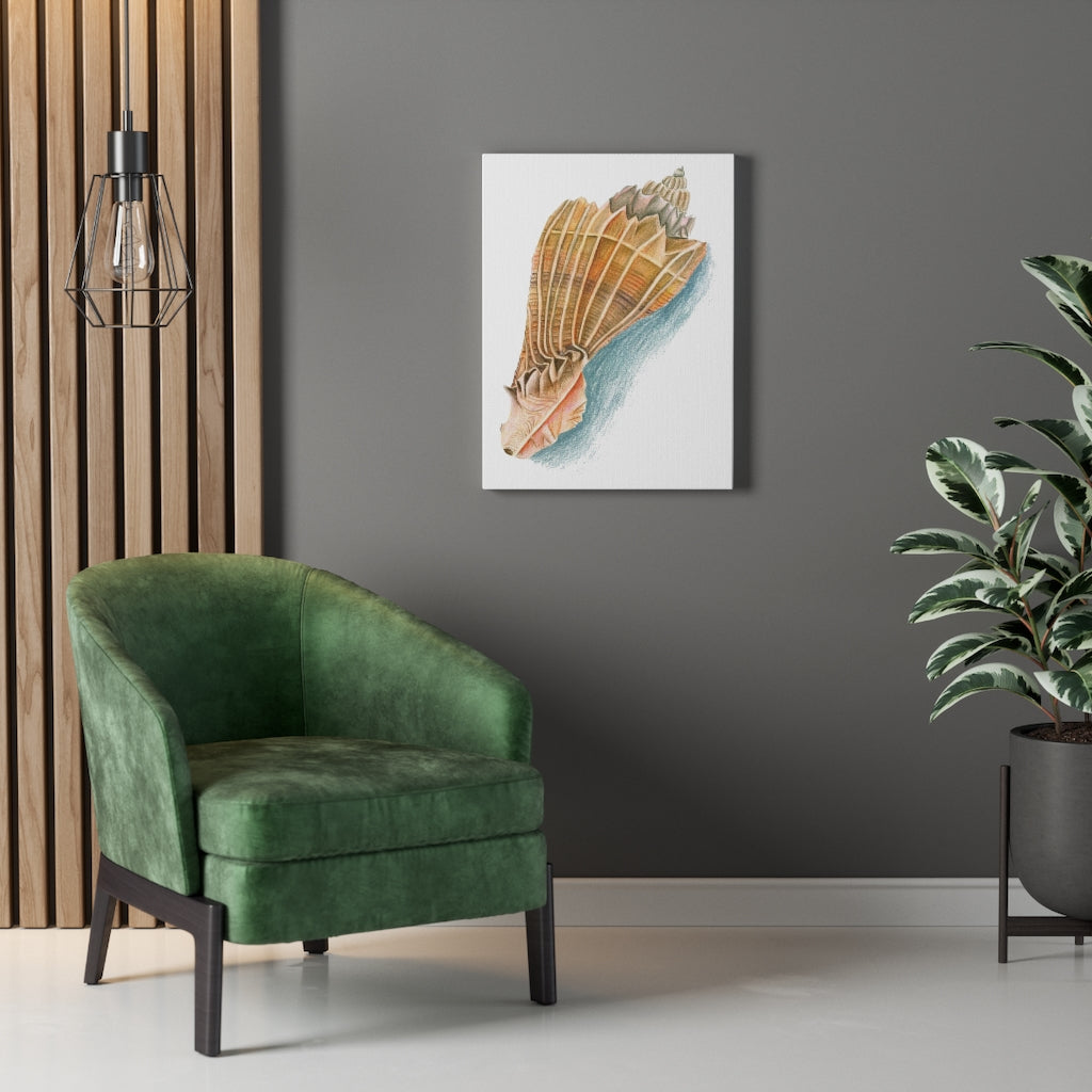 Georgia Beach Knobbed Whelk Seashell Canvas Gallery Wrap