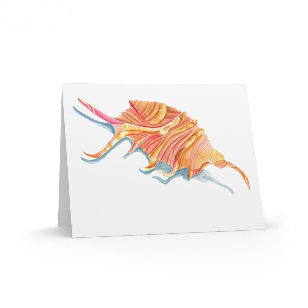 Georgia Beach Spiny Conch Seashell Greeting cards (8, 16, and 24 pcs)