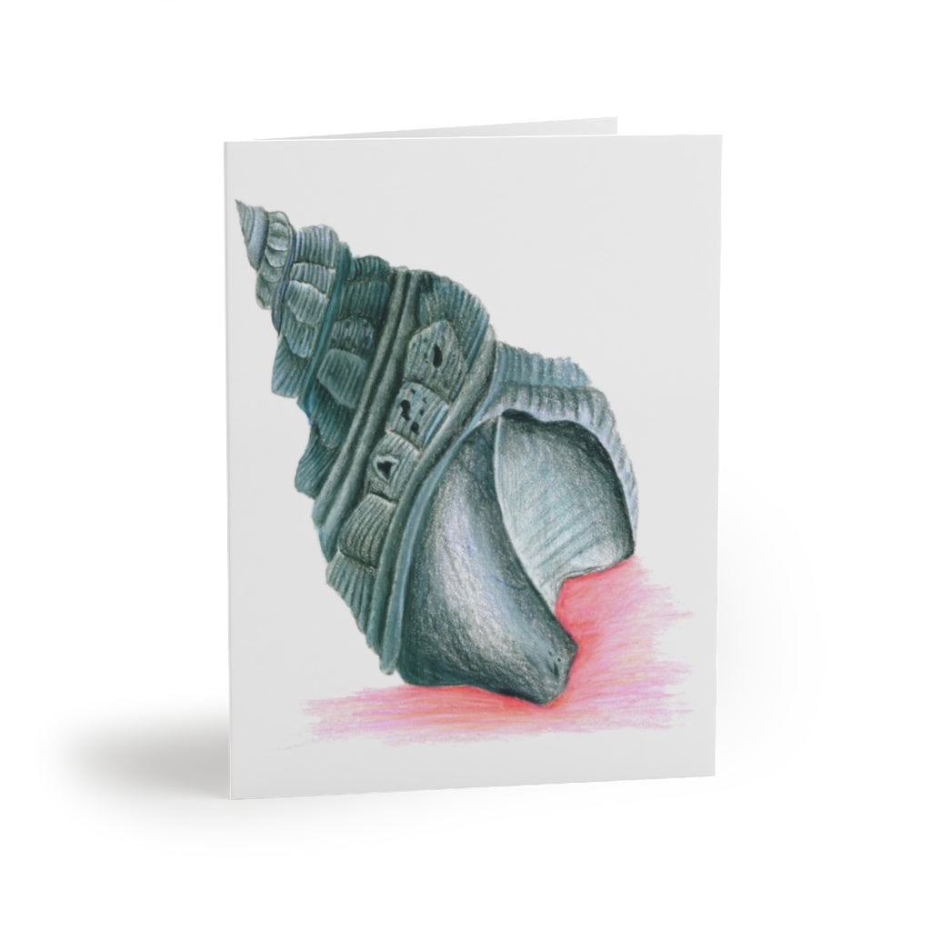 Black Seashell Greeting cards (8, 16, and 24 pcs)