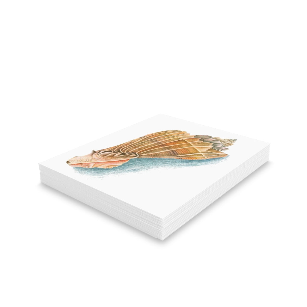 Georgia Beach Knobbed Whelk Seashell Greeting cards (8, 16, and 24 pcs)