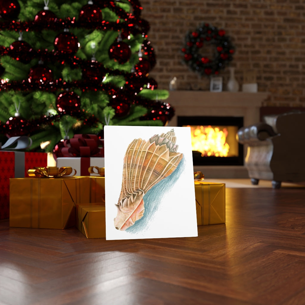 Georgia Beach Knobbed Whelk Seashell Canvas Gallery Wrap