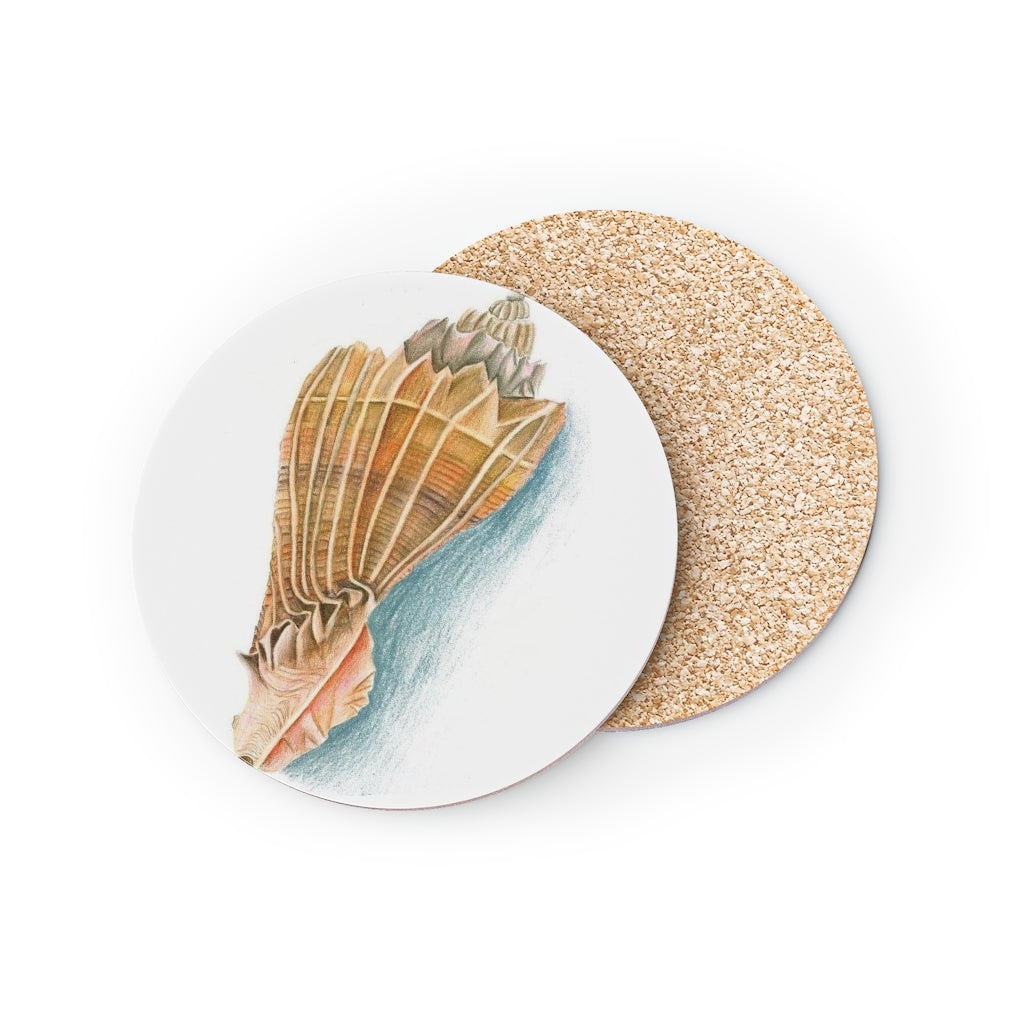 Georgia Beach Knobbed Whelk Shell Coasters