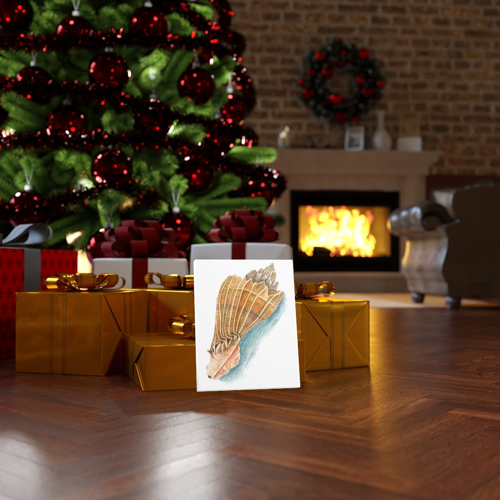 Georgia Beach Knobbed Whelk Seashell Canvas Gallery Wrap