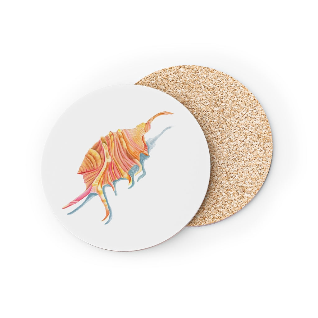 Georgia Beach Spiny Conch Shell Coasters