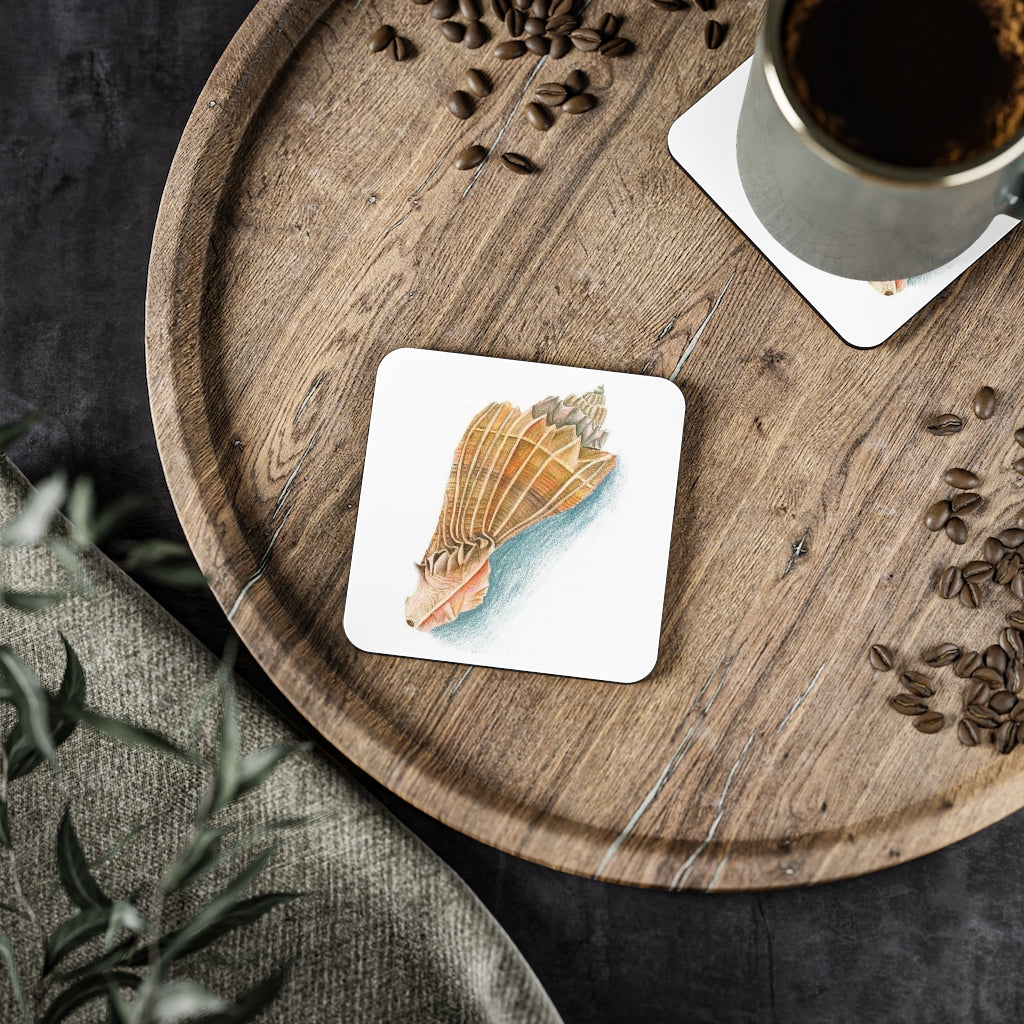 Georgia Beach Knobbed Whelk Shell Coasters